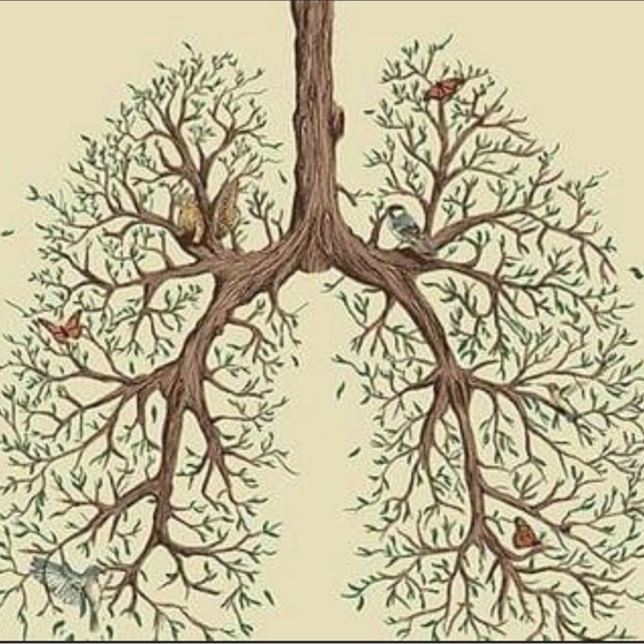 Meet your Posher, Lea - Picture 6 of 12